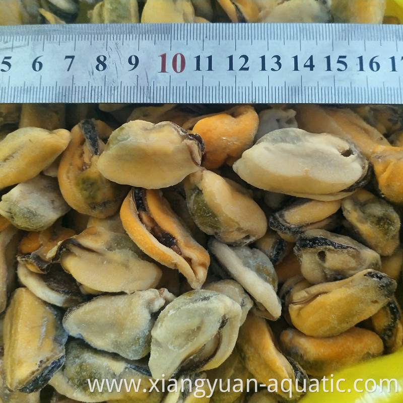 small, medium, large mussel meat for hot sale